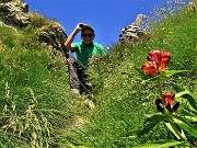 02 Alla Bocchetta di Budria (2116 m) con Gentiana purpurea (Genziana porporina)